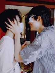 红杏四叶草视频